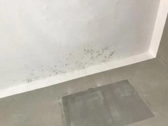 首页- 新宝GG集团创造事业平台